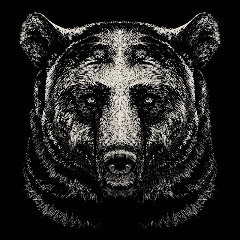 Bär