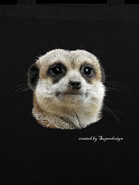 Erdmännchen