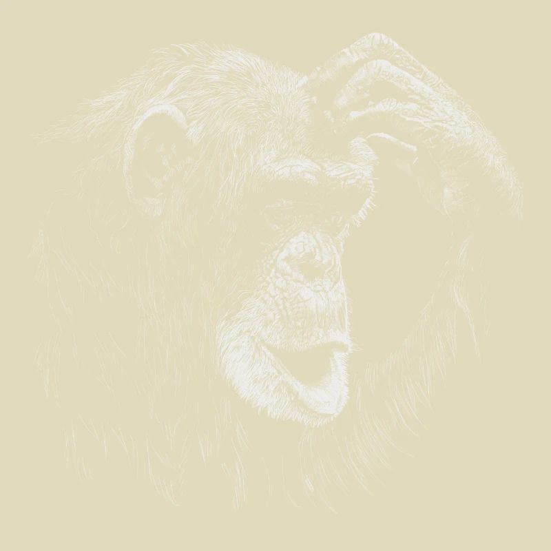 Affe