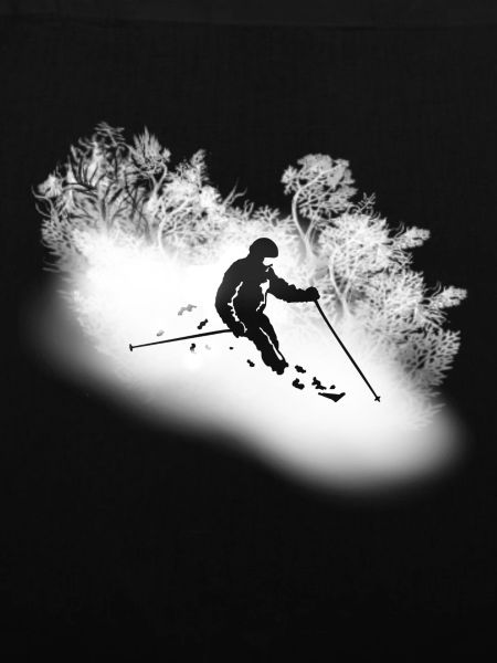 ALPINE SKIING