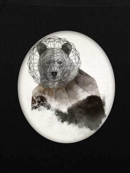Bear Bär Poly Art
