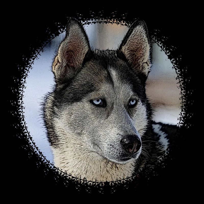 Husky