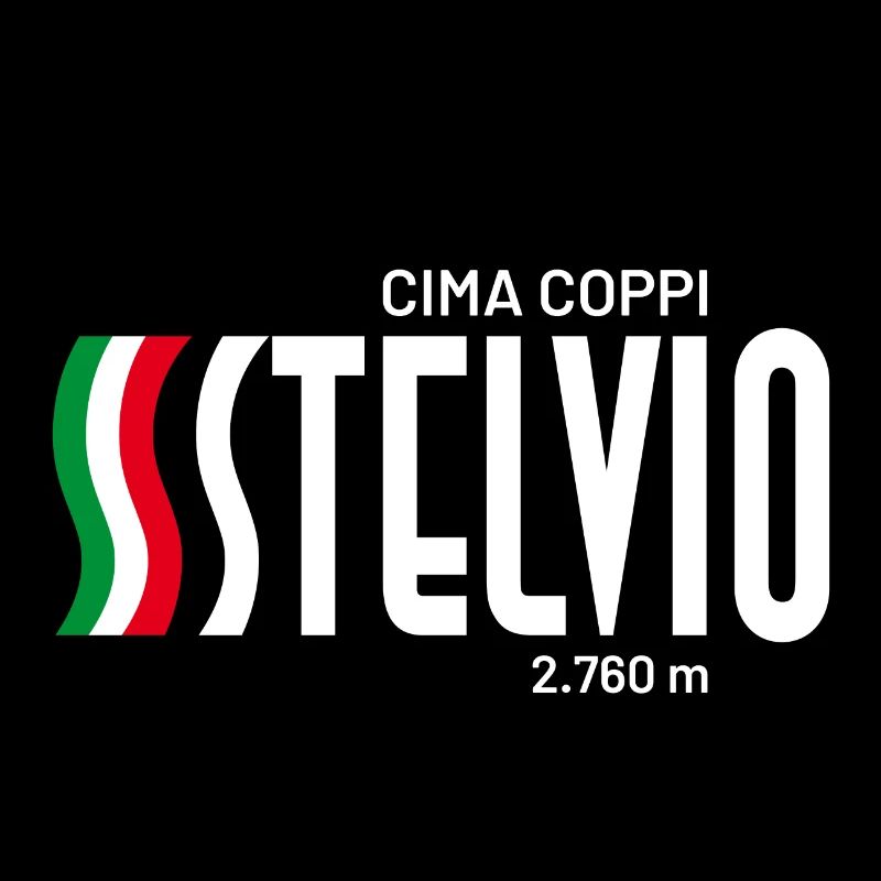 10 stelvio2