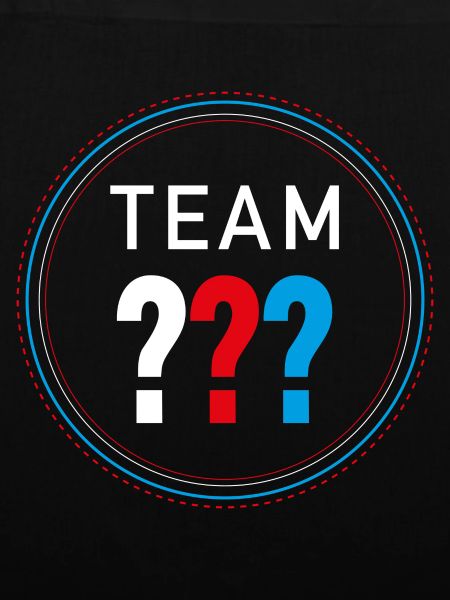 Die Drei ??? Team Drei Fragezeichen