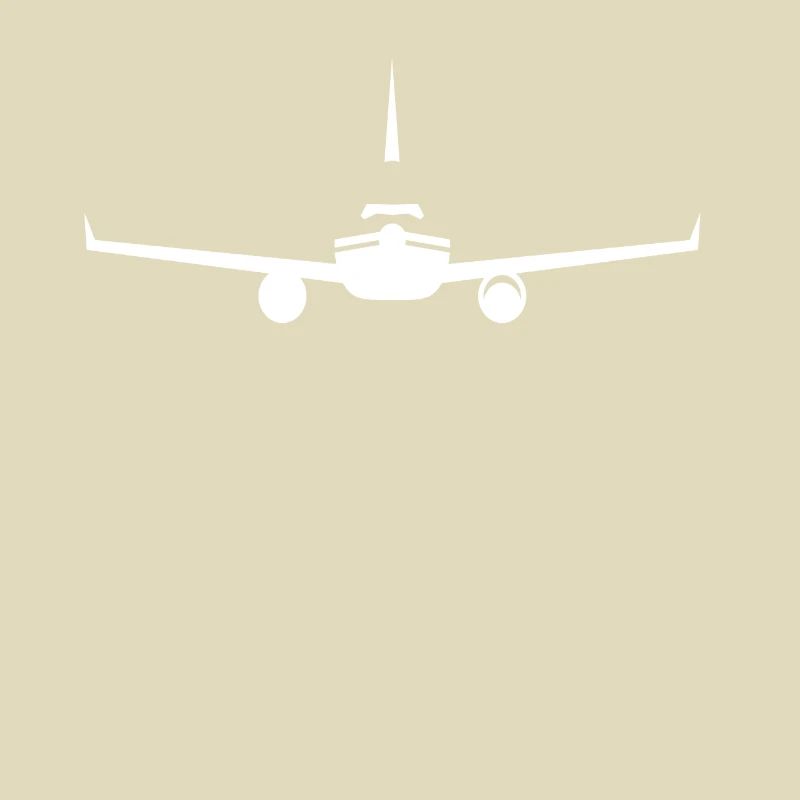 Flugzeug Silhouette