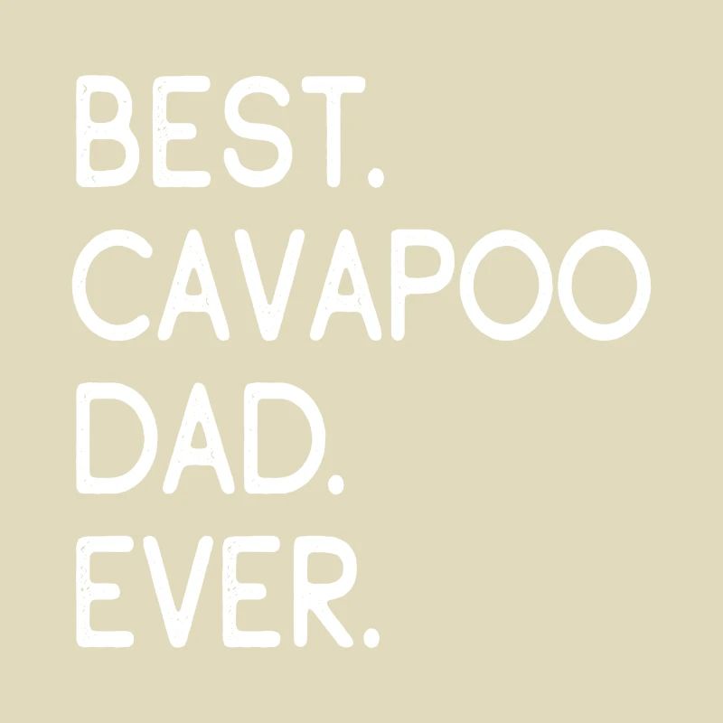 Cavapoo Cavoodle