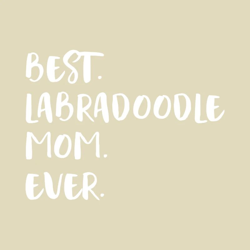 Labradoodle
