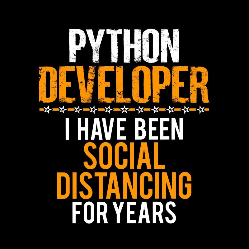 Python Developer Lustiges Shirt, schöne sarkastische T-Shirt