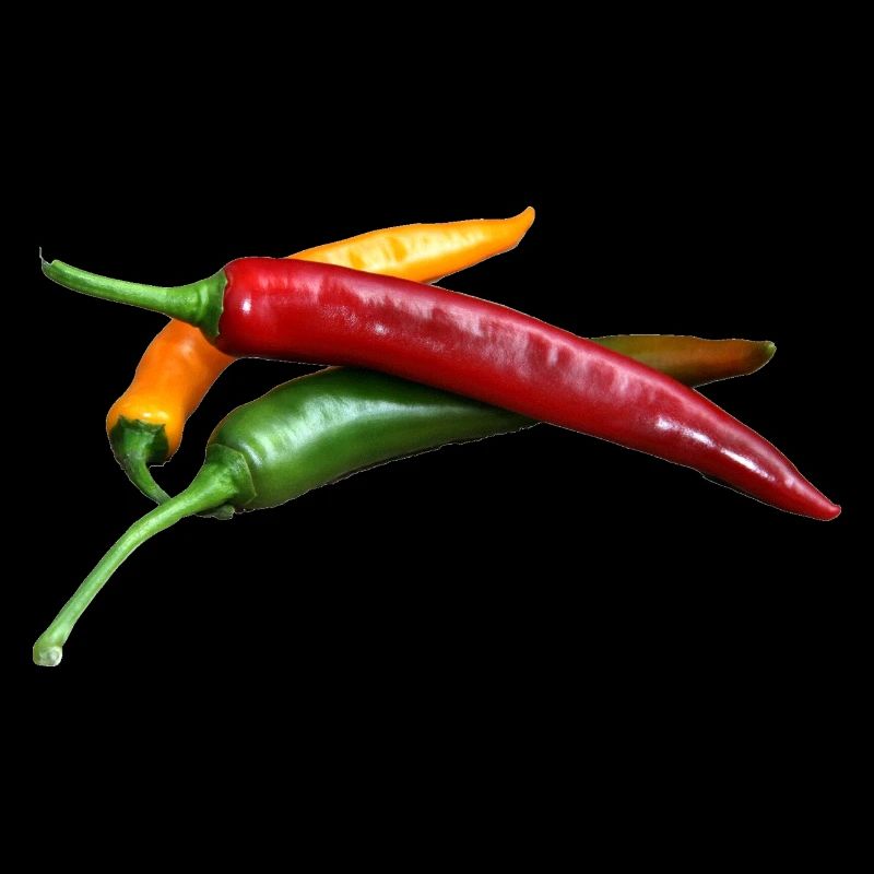 Chillis feu de circulation