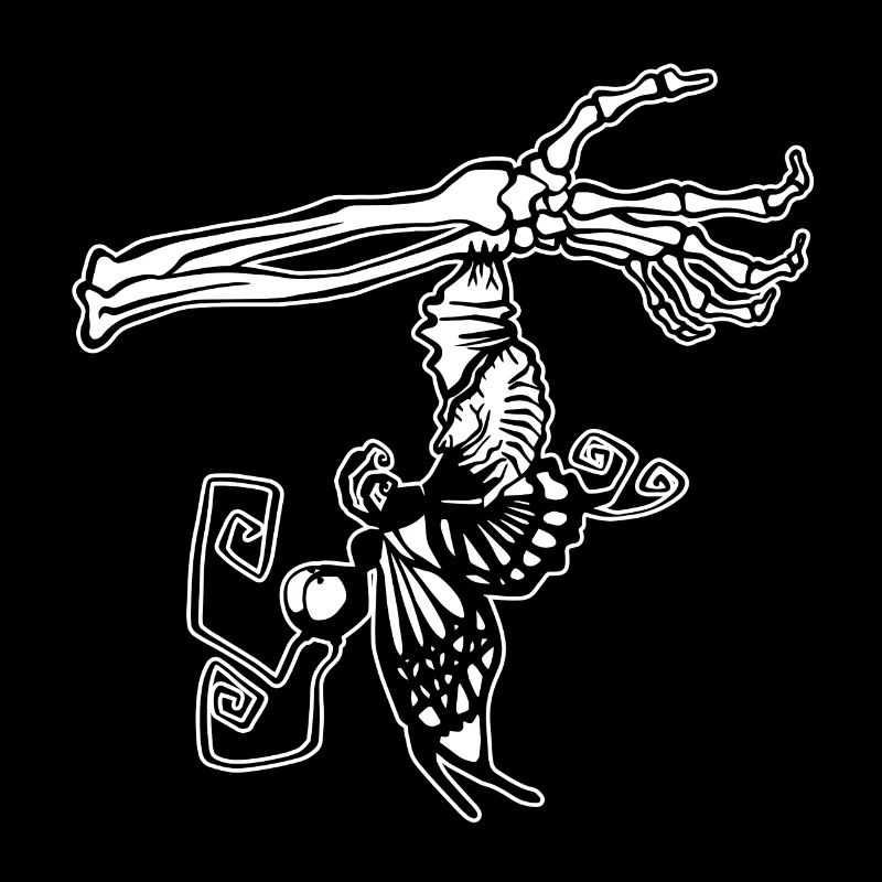 Papillon sort du cocon