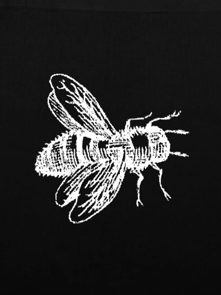 APES - forest bee