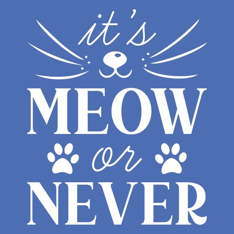 Es ist Miau oder nie