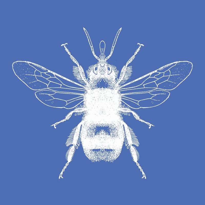 Hummel