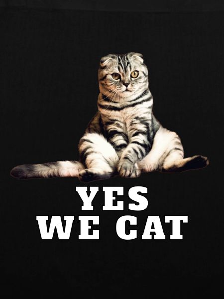 Katze – Yes We Cat