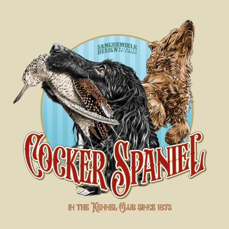 Cocker Spaniel mit Waldschnepfe
