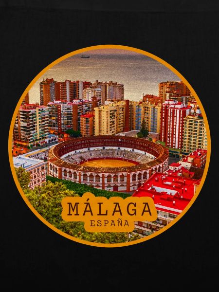 Malaga Bullring Panorama