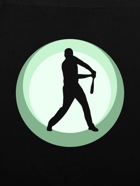 Baseball Batting Catcher