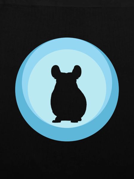 Chinchilla Mäuschen Mäuschen