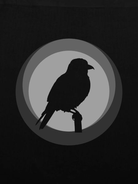 Sittich Vogel Abbildung Vogel