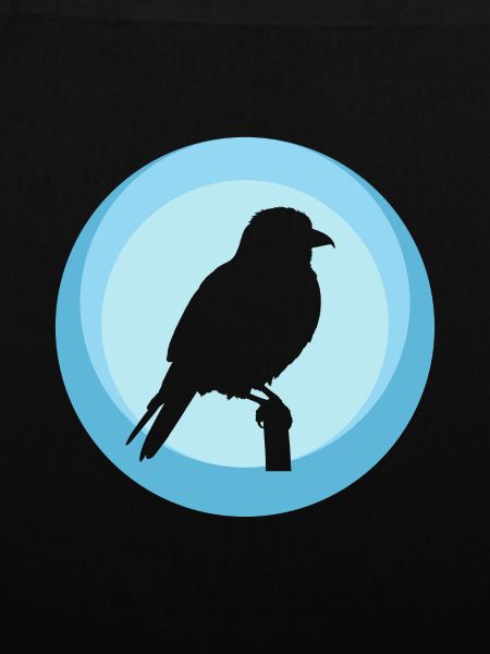 Sittich Vogel Abbildung Vogel Abbildung