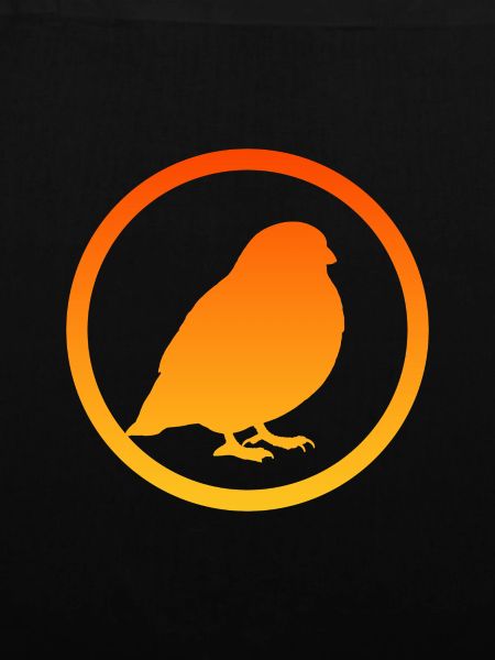 Vogel Vögel Vogel Abbildung