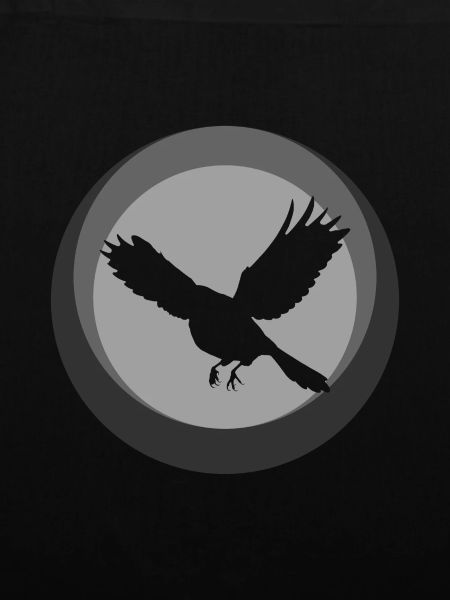 Tier Tier Birds