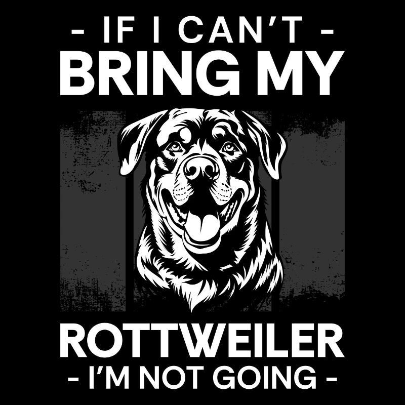 Rottweiler Hunderasse Rottie Vierbeiner