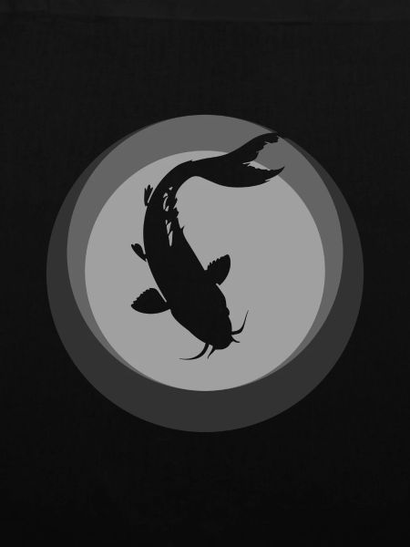 Koi Fisch Fischen