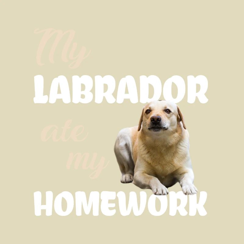 Devoirs du Labrador