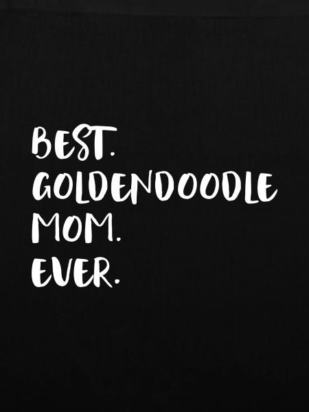 Goldendoodle