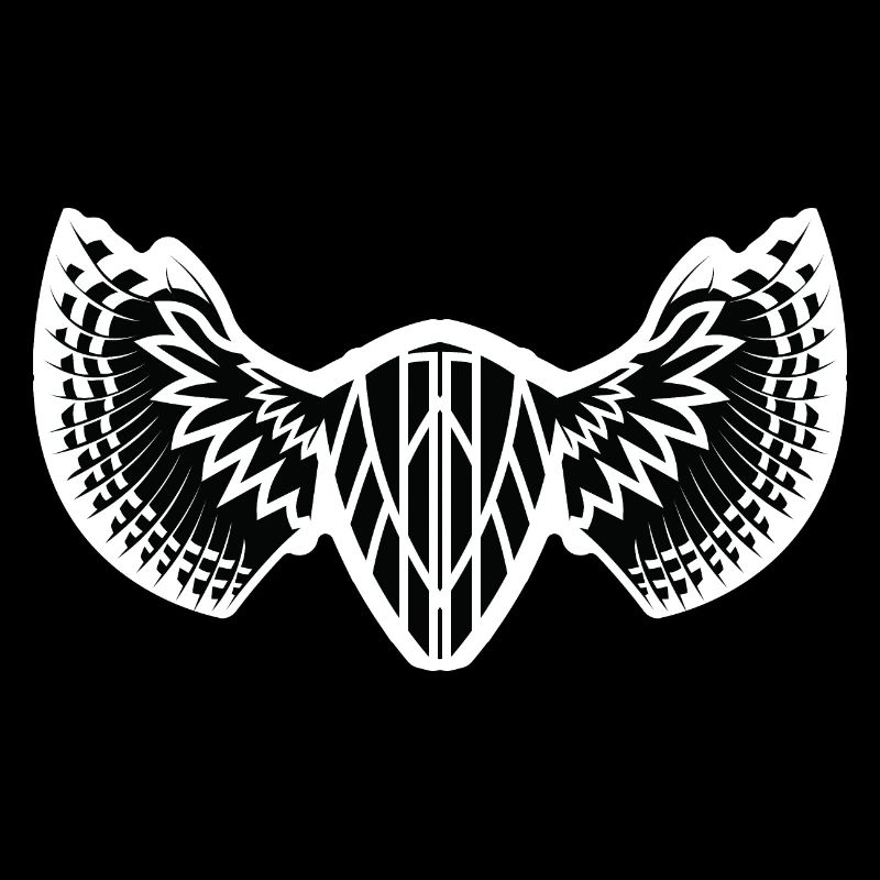 The Mystical Winged Ancient Shield