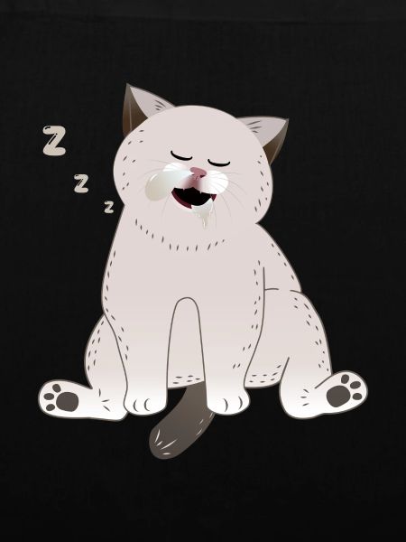 sleeping cat