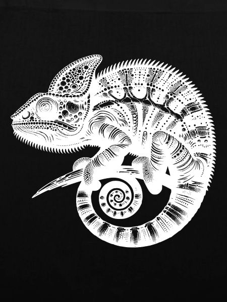 Tropical Lizard Wonder Exotic Lizard
