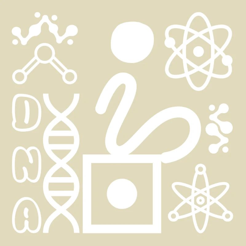 DNS