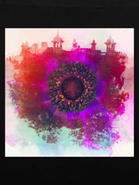 Abstract poppy