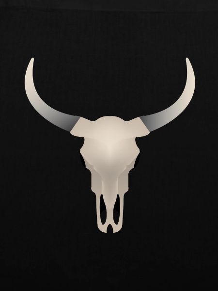 Buffalo Skull