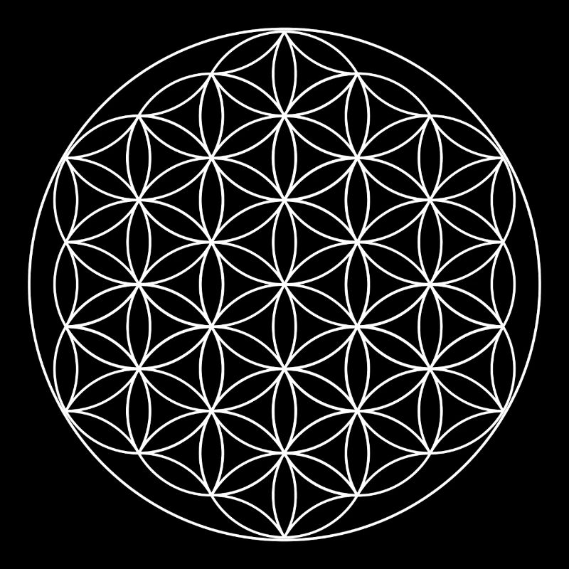 Heilige Geometrie der Blume des Lebens