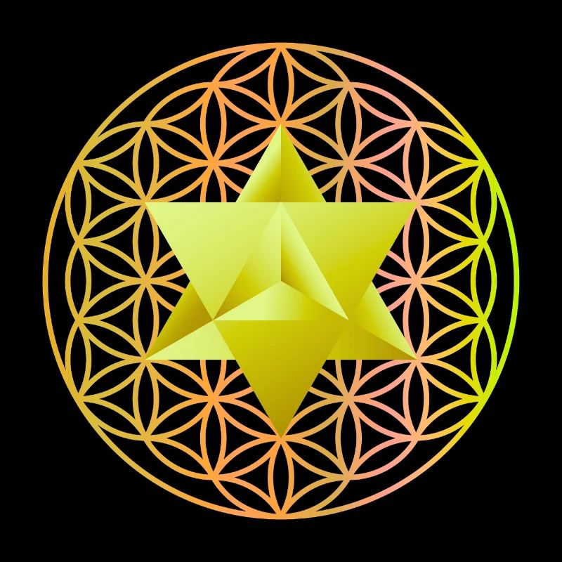 Étoile Merkaba & Fleur de Vie