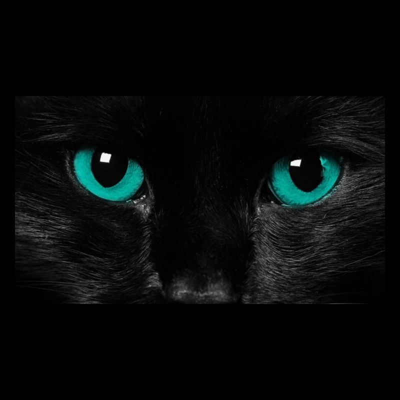 Katze