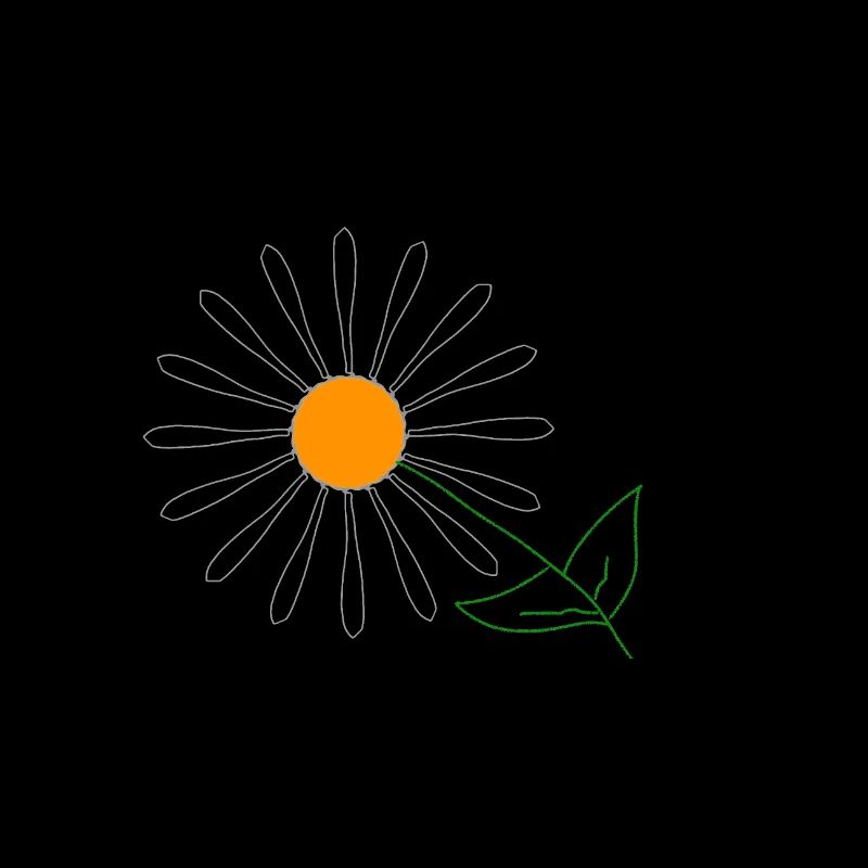Sonnenblume