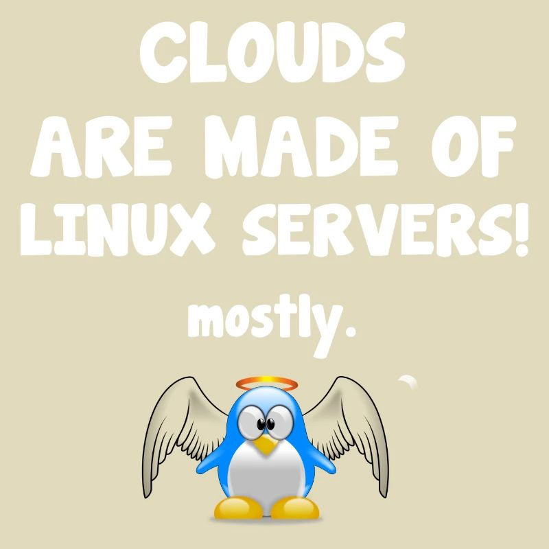 Linux Server lustiger Spruch mit Pinguin