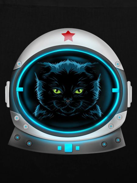 angry space cat Astronaut