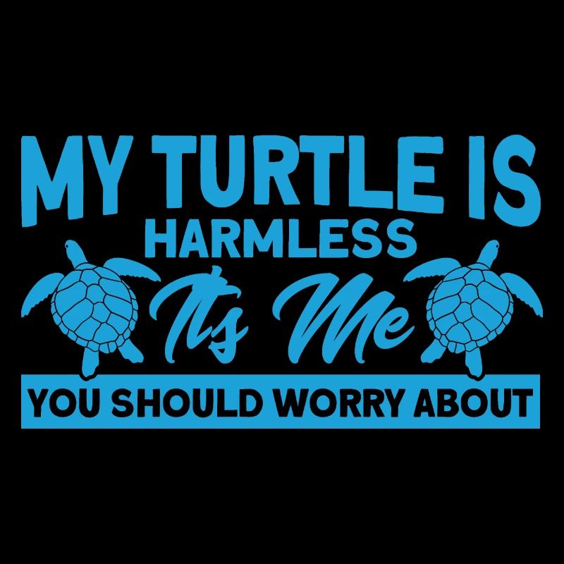 Sea turtles Turtle keeping Sea shell