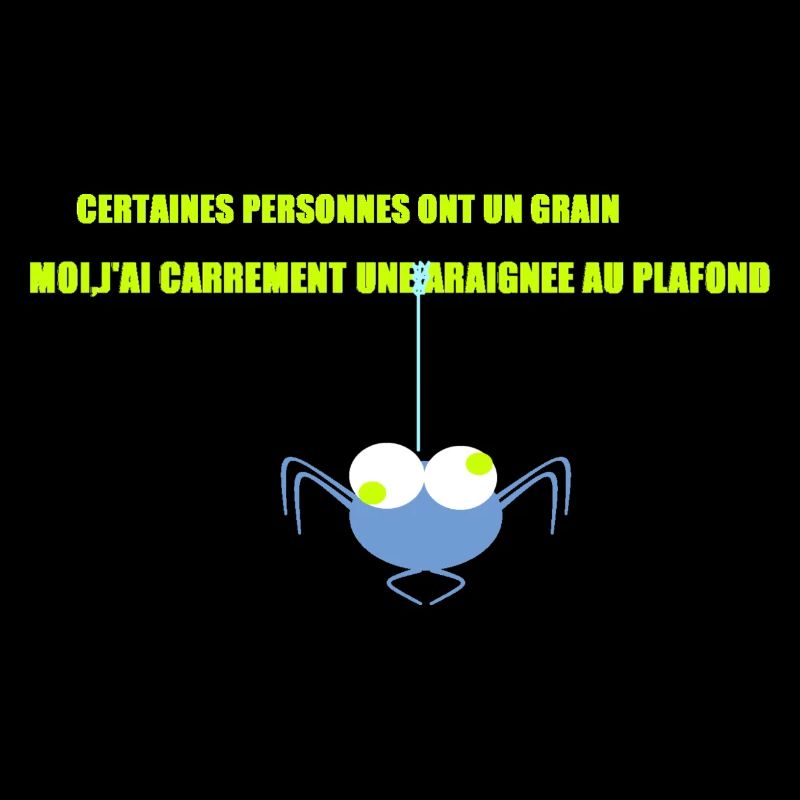 Une araignée au plafond