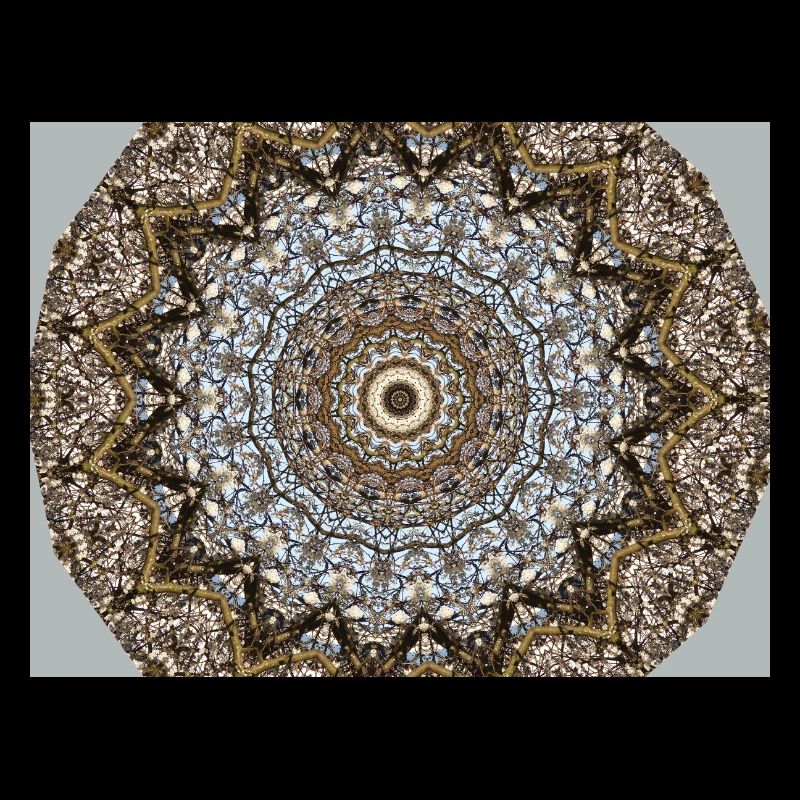 Bluehender tree kaleidoscopic effect