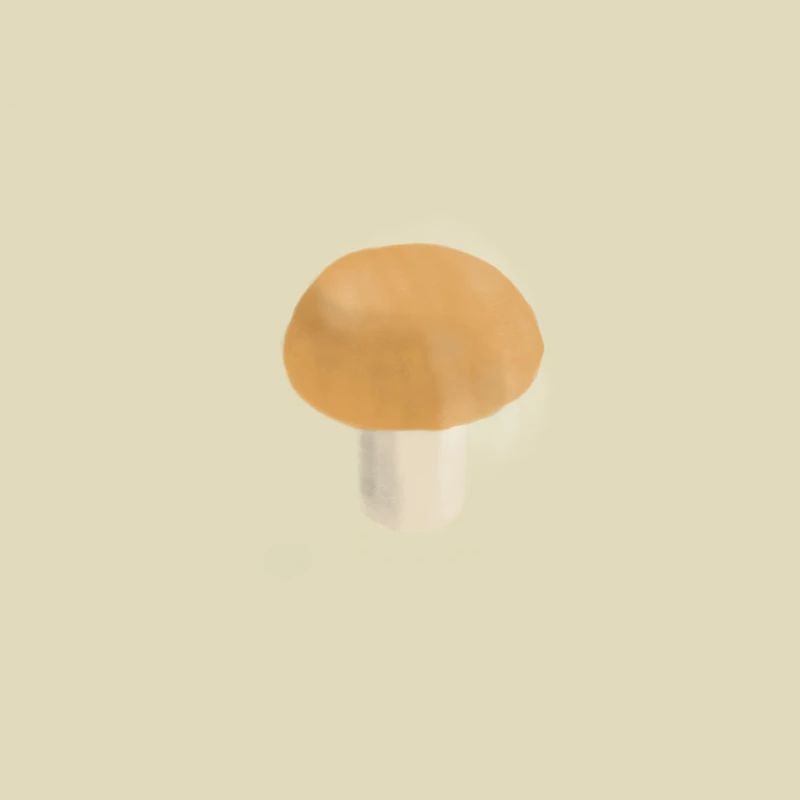 champignon