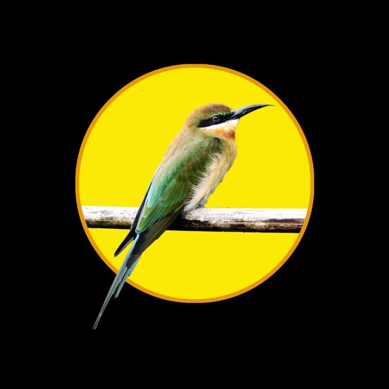 Vogel