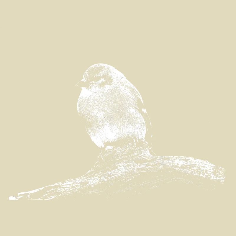 Kleiner Vogel