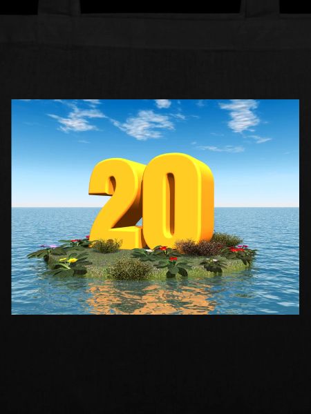 Year 20