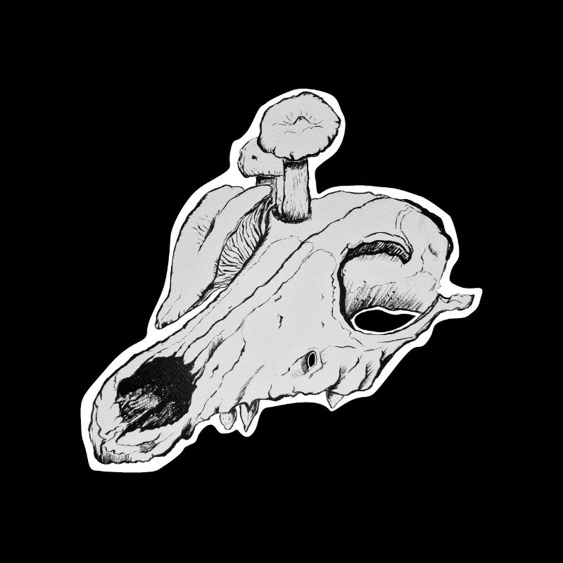 Shroom Skull Sticker Version Transparent